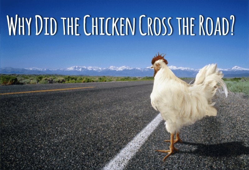 Descubre el Misterio de la Carretera del Pollo en España y sus Casinos en Línea, juego chicken road